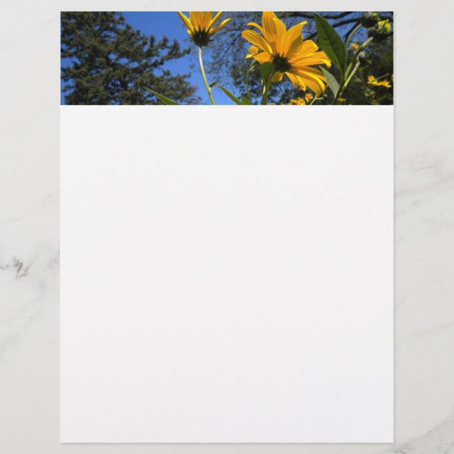 Sunflower N Sky Letterhead (Front)