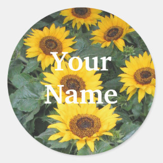 Sunflower Name Tags