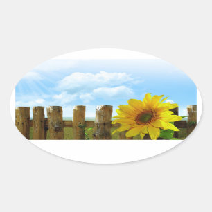 Sunflower Nature Beauty Oval Sticker