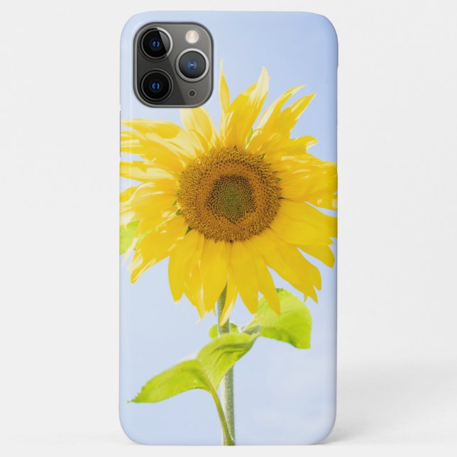 Sunflower Nature Photo Case-Mate iPhone Case (Back)