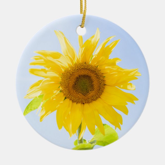 Sunflower Nature Photo Ceramic Ornament (Front)