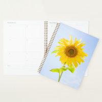Sunflower Nature Photo