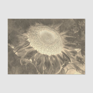 Sunflower Negative Sepia Vintage Antique Floral Tissue Paper