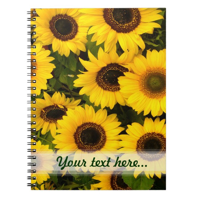 Sunflower  ~ Note Book (Front)