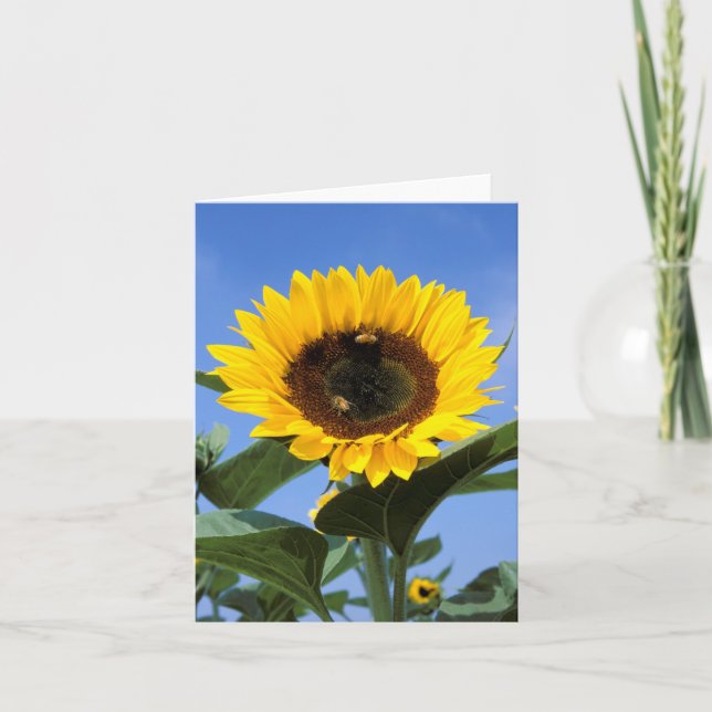 Sunflower Note Card (Front)