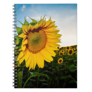 Sunflower Notebook