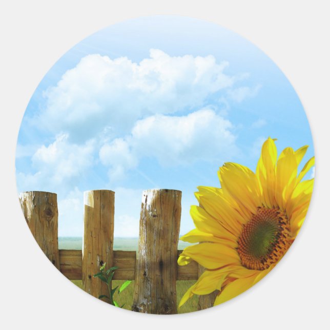 Sunflower on a Sunny Day Classic Round Sticker (Front)