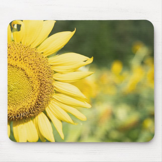 Sunflower on a Sunny Day Mouse Pad (Front)