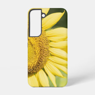 Sunflower on a Sunny Day Samsung Galaxy Case