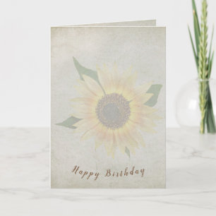 sunflower on soft textured background card