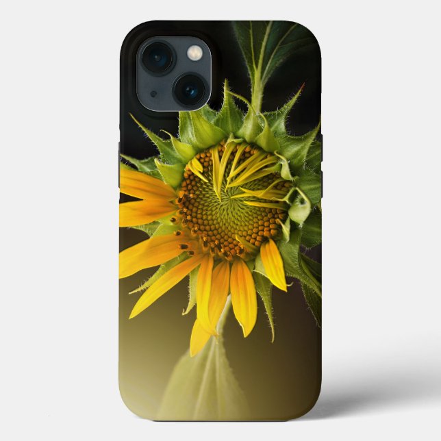 Sunflower Opening in Full Bloom Case-Mate iPhone Case (Back)