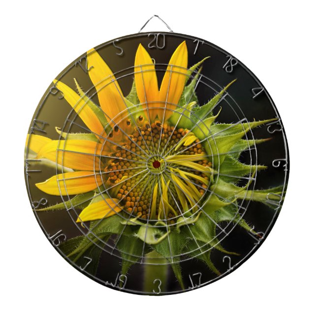 Sunflower Opening in Full Bloom Dartboard (Front)