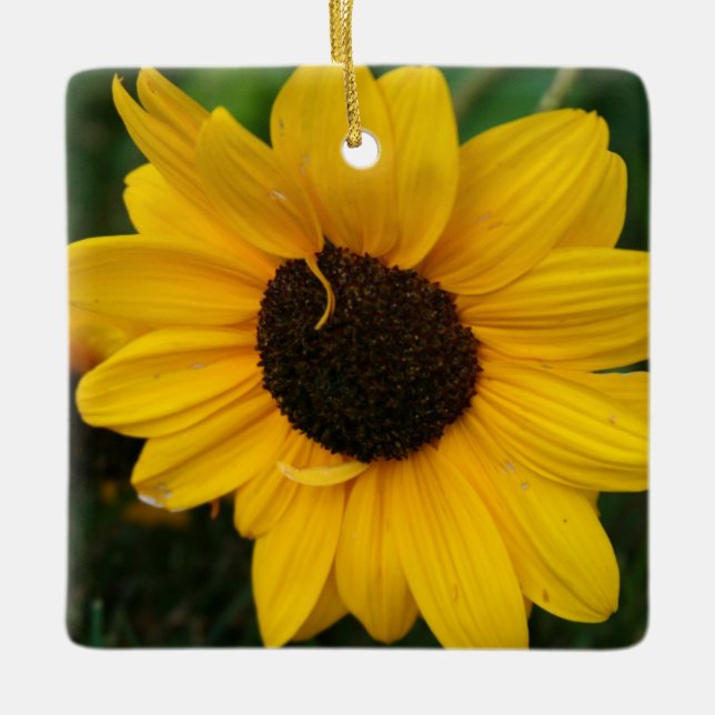 Sunflower Ornament (Front)