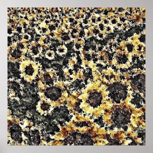 Sunflower painting art Posters
