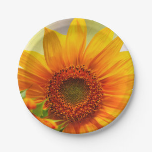 Sunflower Paper Plate