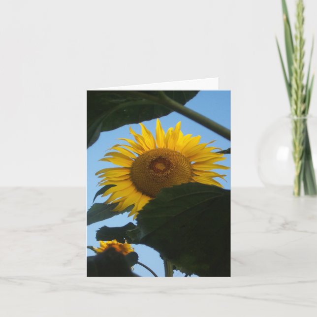 Sunflower Peeking Notecard (Front)