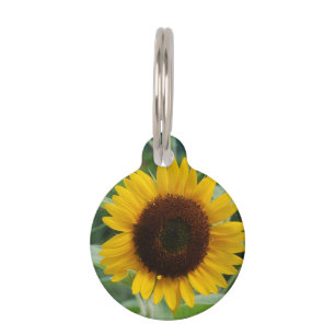 Sunflower Pet Tag