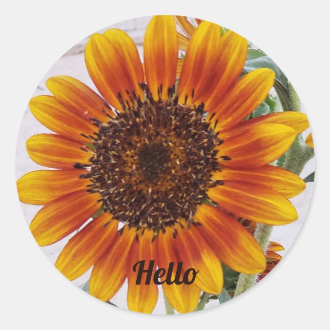 Sunflower Photo with Yellow Orange Gradient Colour Classic Round Sticker (Front)