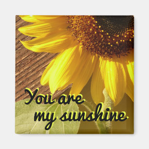 Sunflower Photo You Are My Sunshine Magnet