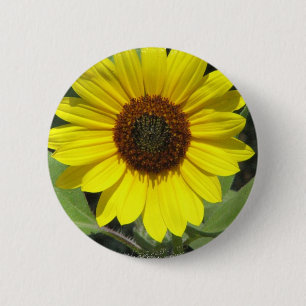 Sunflower Plant Round Button