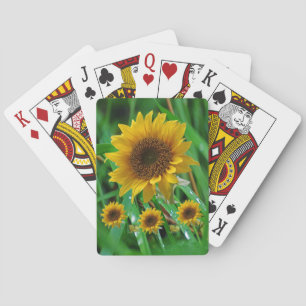 Sunflower Playing Card Deck