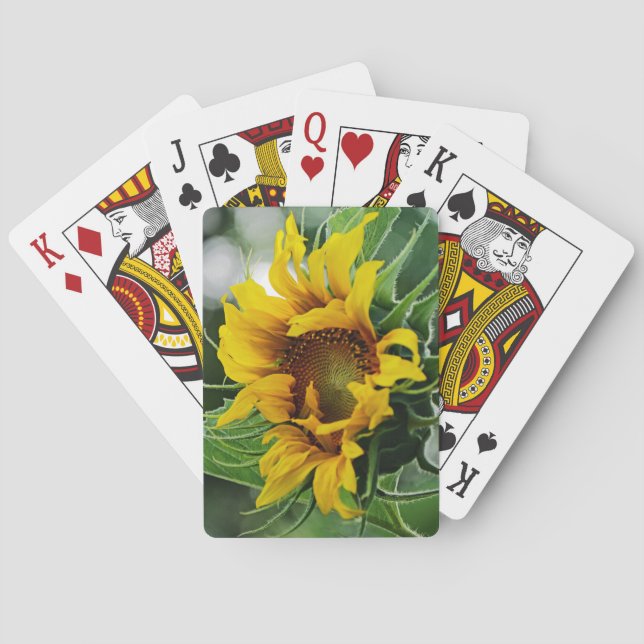 Sunflower Playing Cards (Back)