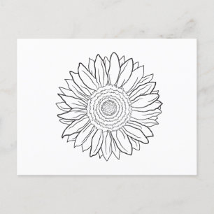 sunflower postcard