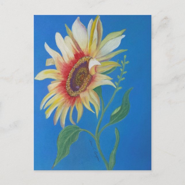 Sunflower Postcard (Front)