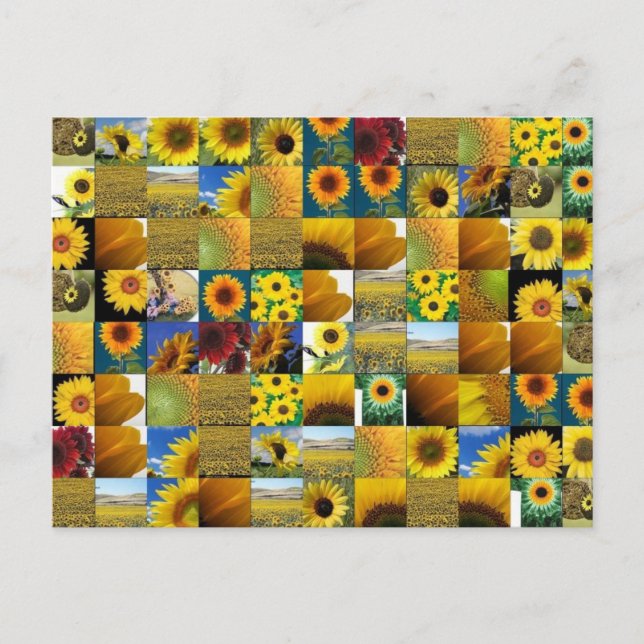 sunflower postcard (Front)