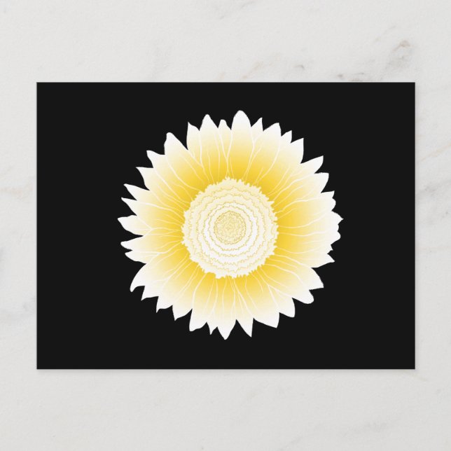 sunflower postcard (Front)