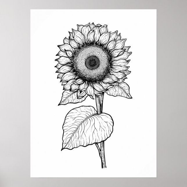 Sunflower Poster (Front)