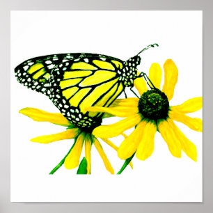 Sunflower Poster