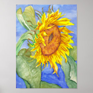 Sunflower Poster