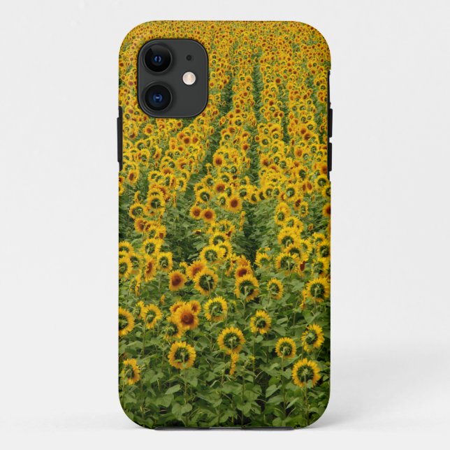 Sunflower Power iPhone Case (Back)