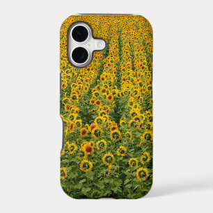 Sunflower Power iPhone Case