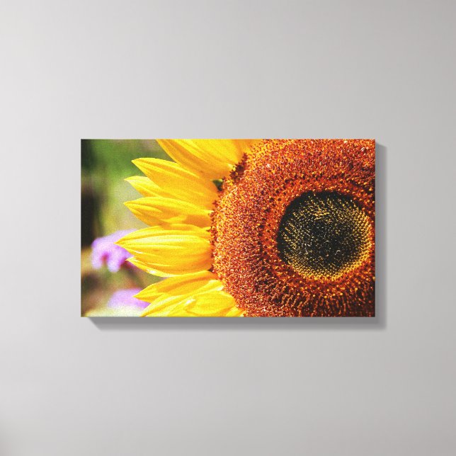 Sunflower print wrapped canvas (Front)