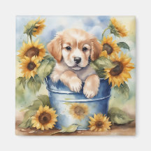 Sunflower Puppy