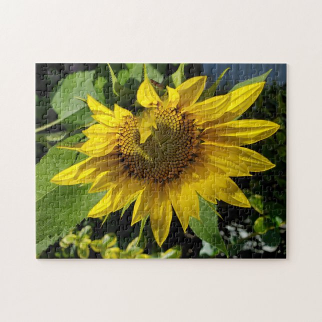 Sunflower puzzle (Horizontal)