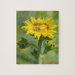 Sunflower Puzzle