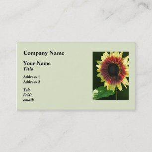 Sunflower Ring of Fire Closeup Business Card