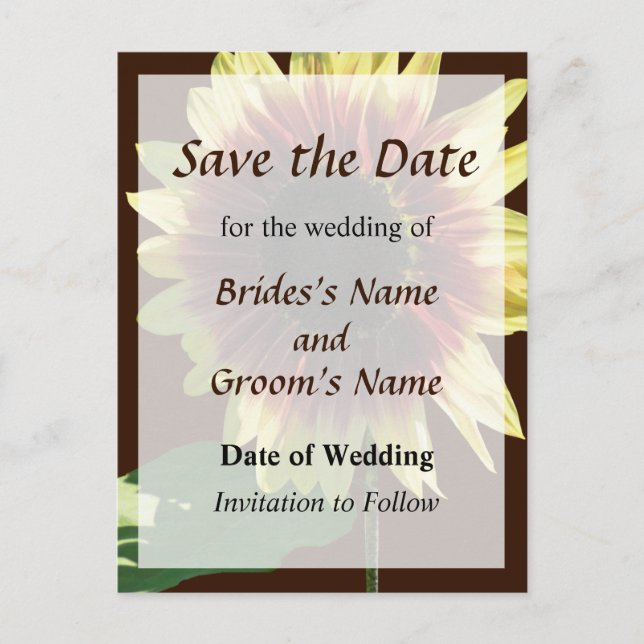 Sunflower Ring of Fire Save the Date Announcement Postcard (Front)
