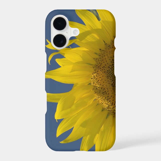 Sunflower Rising (Back)