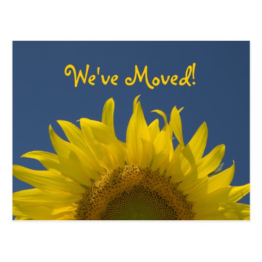 Sunflower Rising Change of Address Postcard