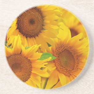 Sunflower Sandstone Coaster