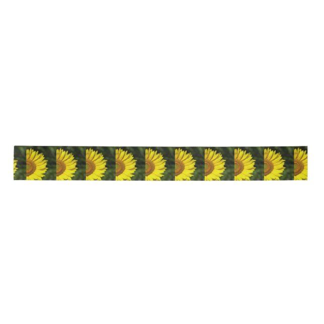 Sunflower Satin Ribbon (Front)