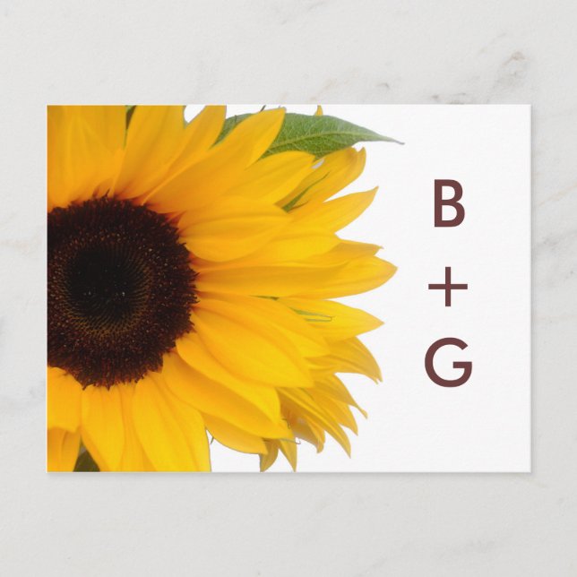 Sunflower Save the Date Postcard (Front)