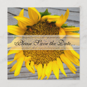 Sunflower Save the Date with barnwood