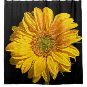 Sunflower sccna
