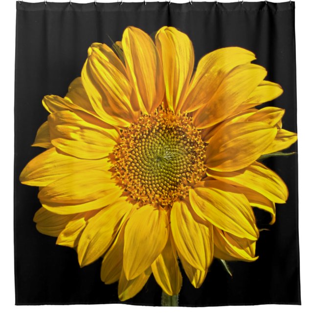 Sunflower sccna (Front)