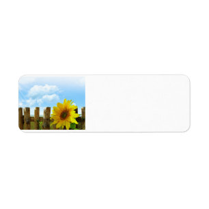 Sunflower Scene